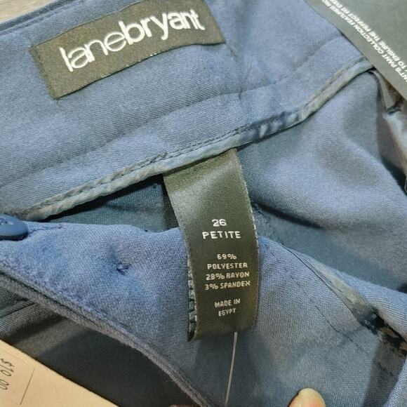 Lane Bryant Navy Blue Career Office Capsule Wardrobe Classic Trouser Sz 26P - Picture 4 of 10